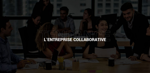 https://www.entreprise-collaborative.fr