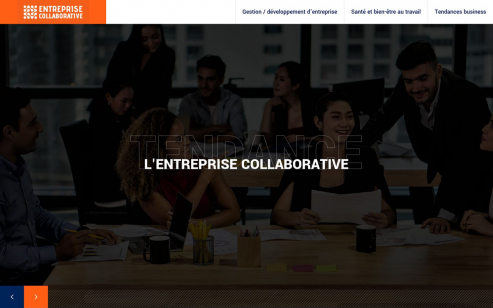 https://www.entreprise-collaborative.fr