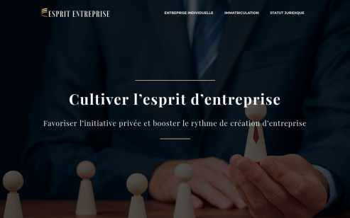 https://www.esprit-entreprises.com